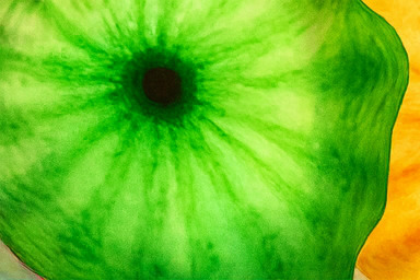 베타 구역 단계별 챌린지